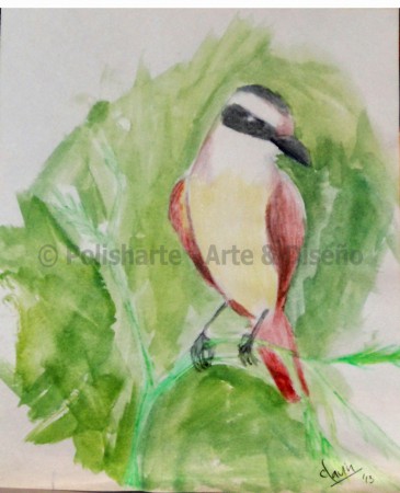 Benteveo común. 2013